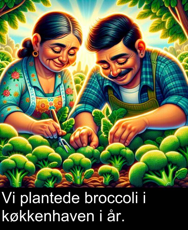køkkenhaven: Vi plantede broccoli i køkkenhaven i år.