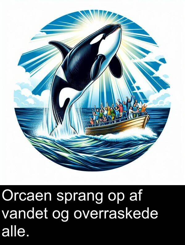 overraskede: Orcaen sprang op af vandet og overraskede alle.