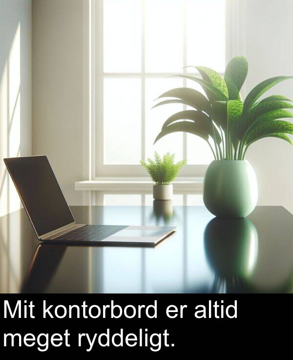 kontorbord: Mit kontorbord er altid meget ryddeligt.