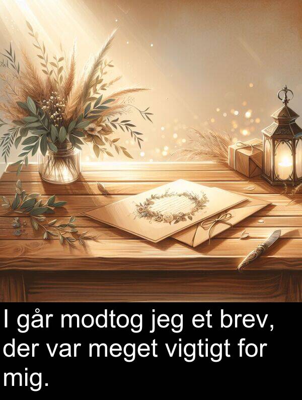 vigtigt: I går modtog jeg et brev, der var meget vigtigt for mig.