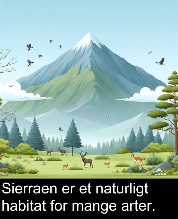 habitat: Sierraen er et naturligt habitat for mange arter.