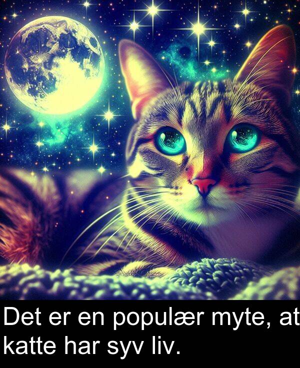 katte: Det er en populær myte, at katte har syv liv.