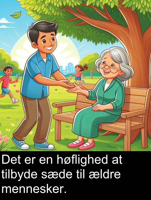 høflighed: Det er en høflighed at tilbyde sæde til ældre mennesker.