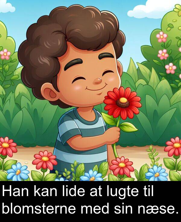 lugte: Han kan lide at lugte til blomsterne med sin næse.