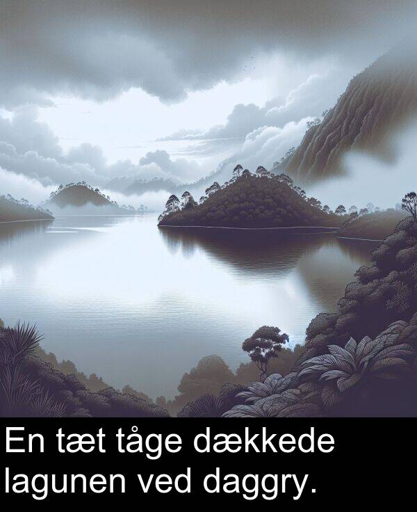 ved: En tæt tåge dækkede lagunen ved daggry.