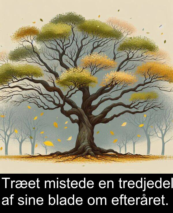 mistede: Træet mistede en tredjedel af sine blade om efteråret.