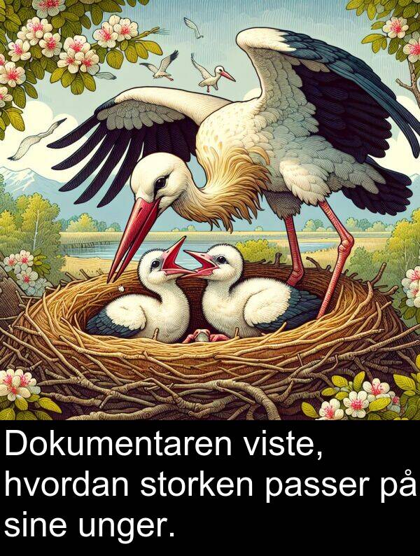 viste: Dokumentaren viste, hvordan storken passer på sine unger.