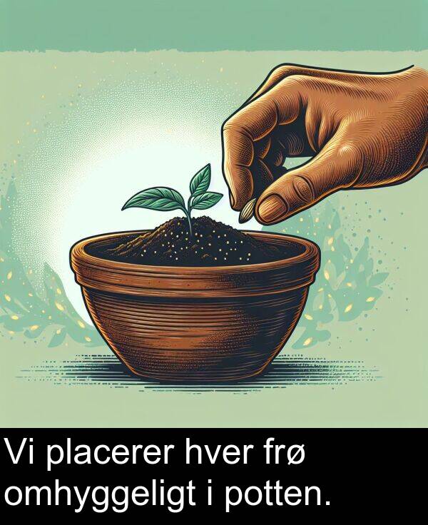 hver: Vi placerer hver frø omhyggeligt i potten.