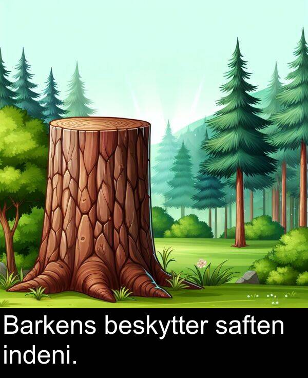 indeni: Barkens beskytter saften indeni.