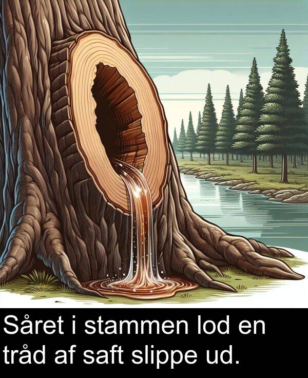 ud: Såret i stammen lod en tråd af saft slippe ud.