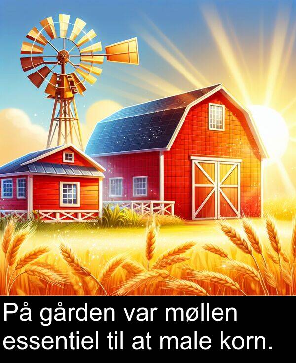 korn: På gården var møllen essentiel til at male korn.