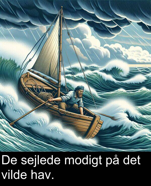 vilde: De sejlede modigt på det vilde hav.