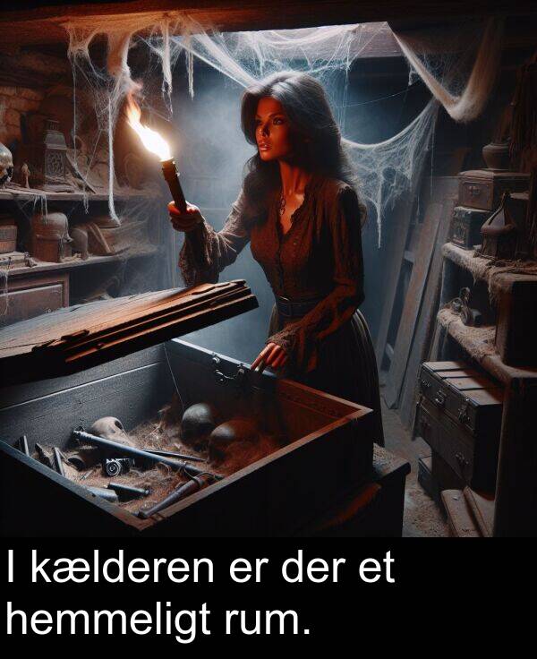 kælderen: I kælderen er der et hemmeligt rum.