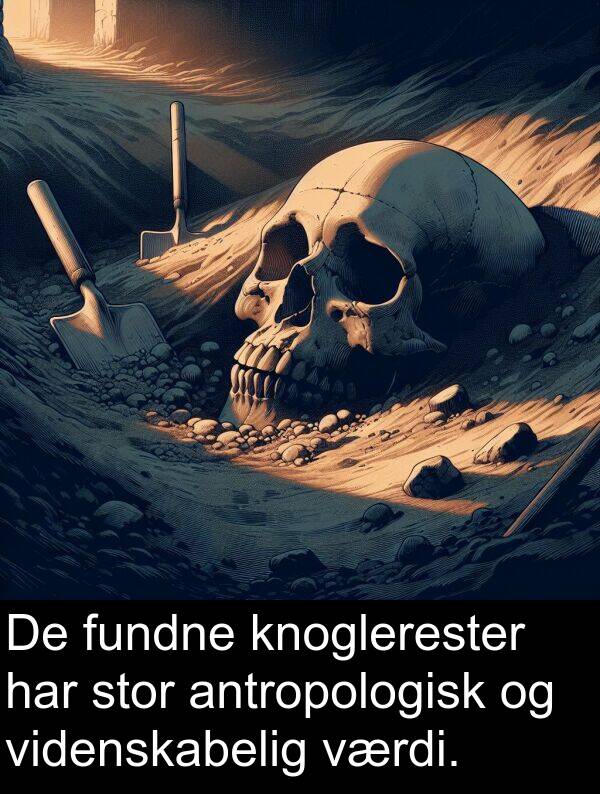 videnskabelig: De fundne knoglerester har stor antropologisk og videnskabelig værdi.