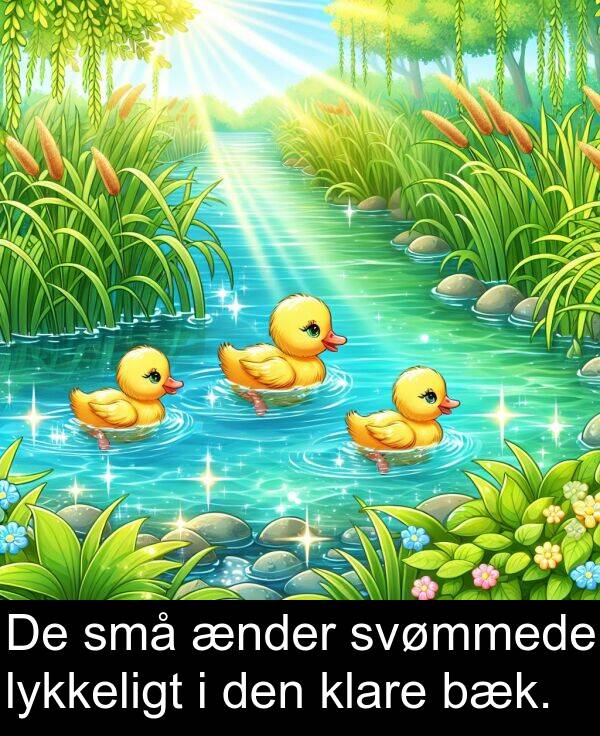 lykkeligt: De små ænder svømmede lykkeligt i den klare bæk.
