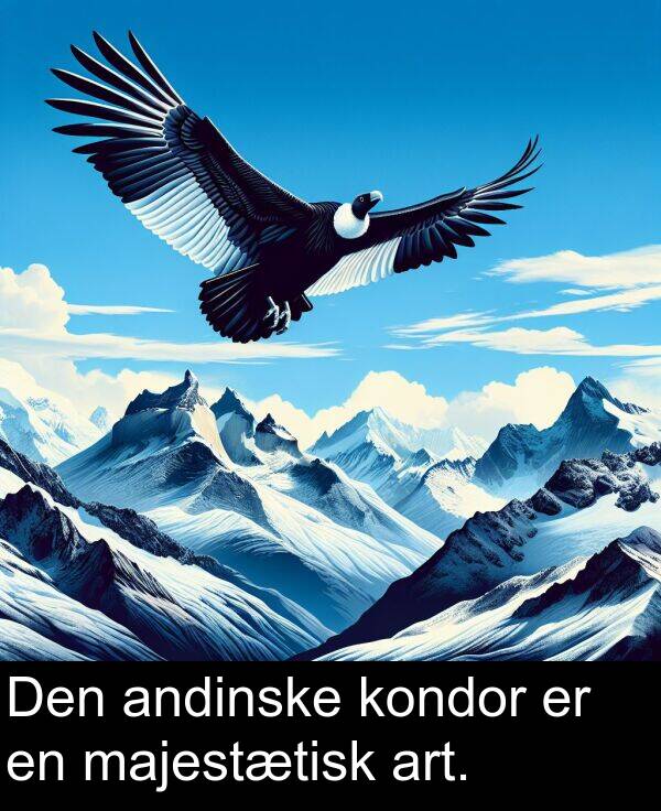 kondor: Den andinske kondor er en majestætisk art.