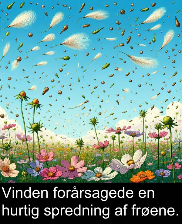 hurtig: Vinden forårsagede en hurtig spredning af frøene.