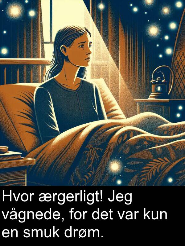 kun: Hvor ærgerligt! Jeg vågnede, for det var kun en smuk drøm.