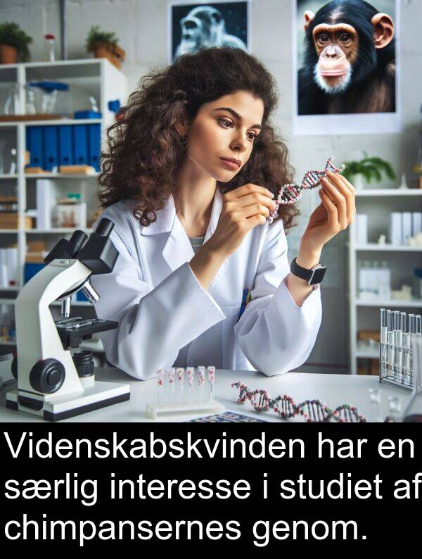 chimpansernes: Videnskabskvinden har en særlig interesse i studiet af chimpansernes genom.