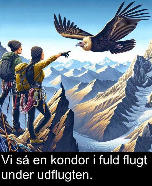kondor: Vi så en kondor i fuld flugt under udflugten.