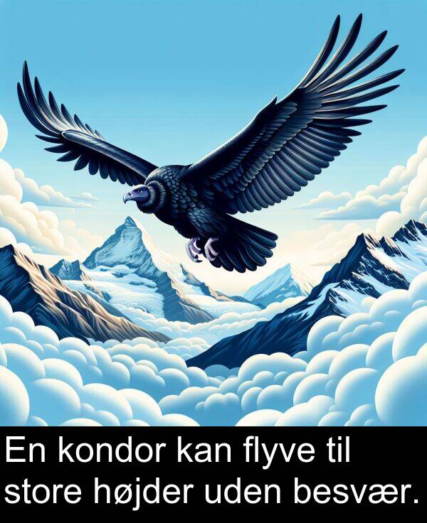 kondor: En kondor kan flyve til store højder uden besvær.