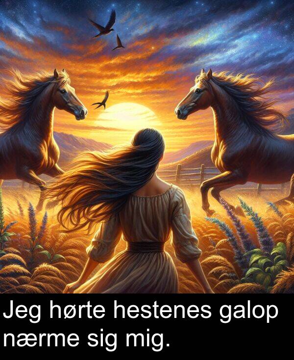 galop: Jeg hørte hestenes galop nærme sig mig.