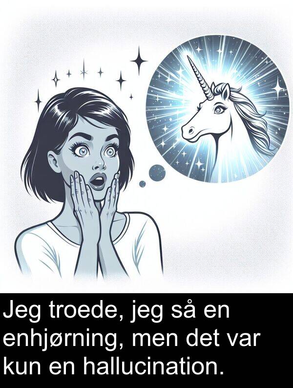 kun: Jeg troede, jeg så en enhjørning, men det var kun en hallucination.