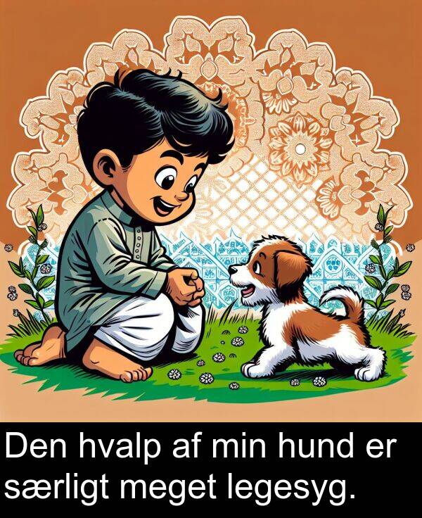 min: Den hvalp af min hund er særligt meget legesyg.