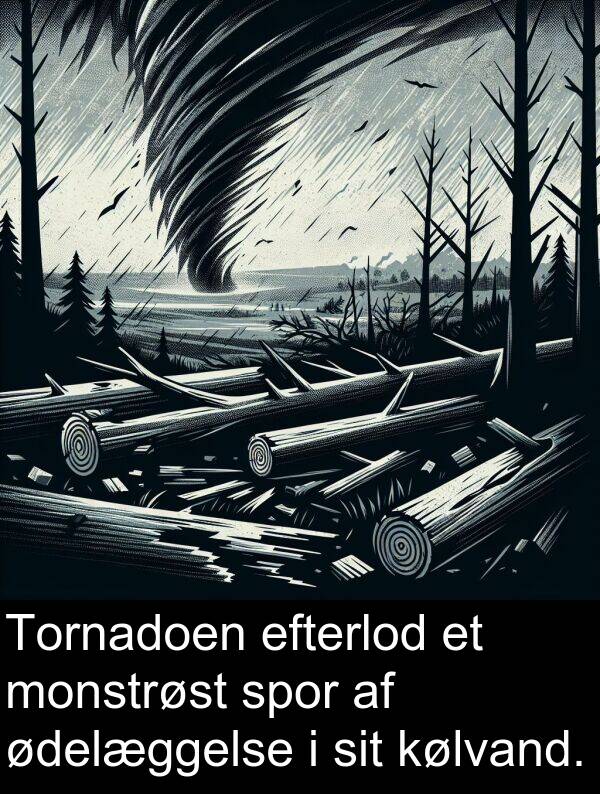 kølvand: Tornadoen efterlod et monstrøst spor af ødelæggelse i sit kølvand.