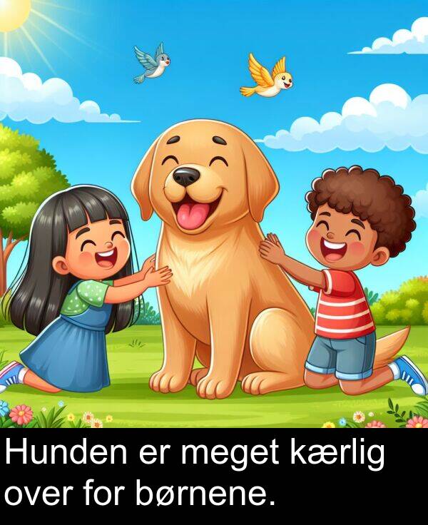 kærlig: Hunden er meget kærlig over for børnene.