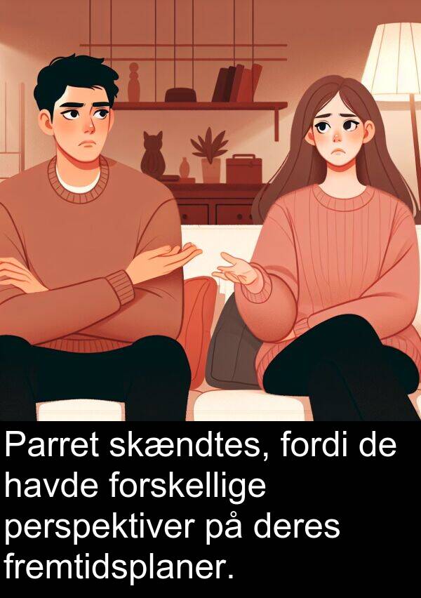 forskellige: Parret skændtes, fordi de havde forskellige perspektiver på deres fremtidsplaner.