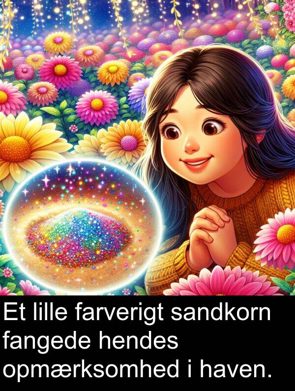 haven: Et lille farverigt sandkorn fangede hendes opmærksomhed i haven.