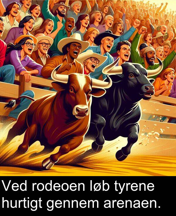 gennem: Ved rodeoen løb tyrene hurtigt gennem arenaen.