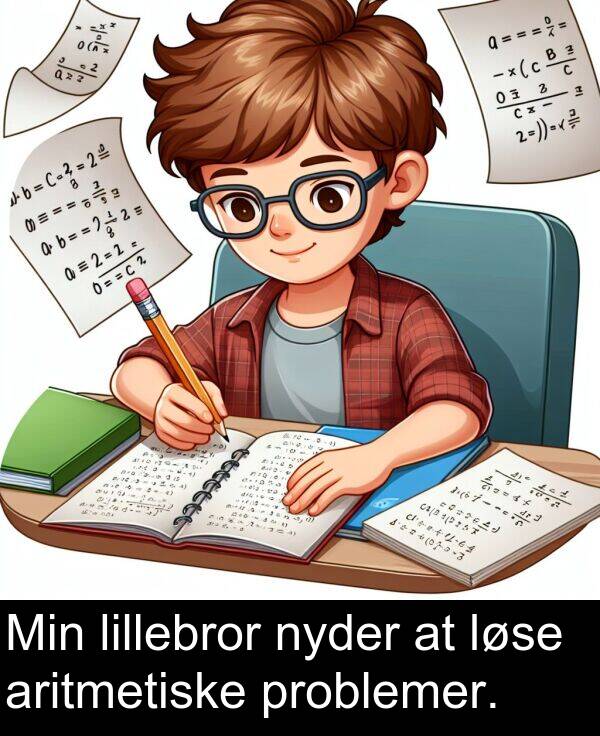 problemer: Min lillebror nyder at løse aritmetiske problemer.