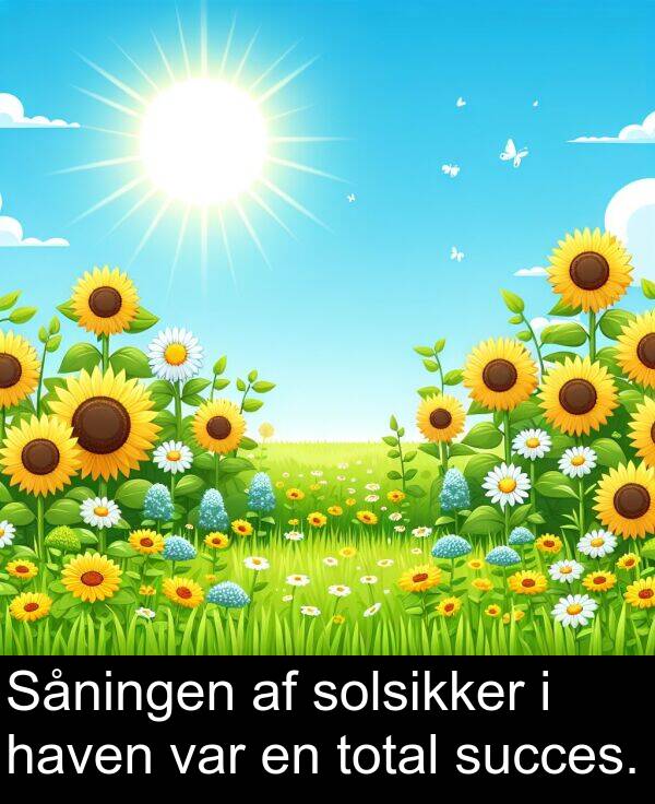 haven: Såningen af solsikker i haven var en total succes.