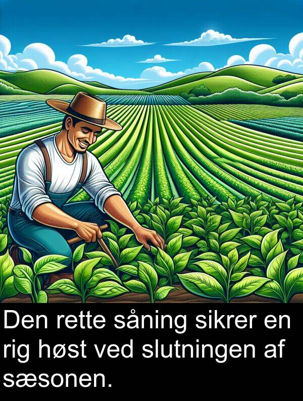 rig: Den rette såning sikrer en rig høst ved slutningen af sæsonen.