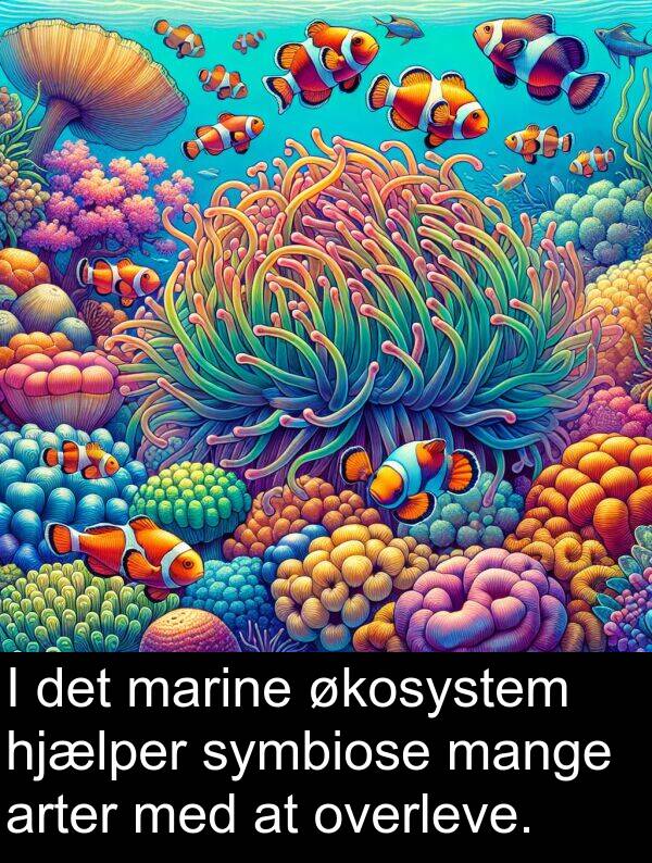 økosystem: I det marine økosystem hjælper symbiose mange arter med at overleve.