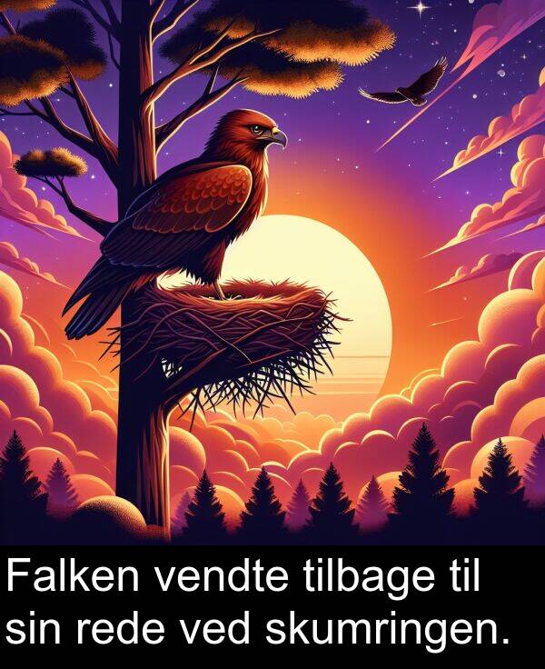 ved: Falken vendte tilbage til sin rede ved skumringen.