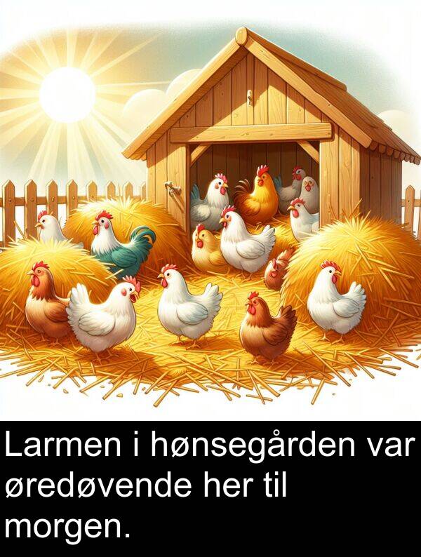 øredøvende: Larmen i hønsegården var øredøvende her til morgen.