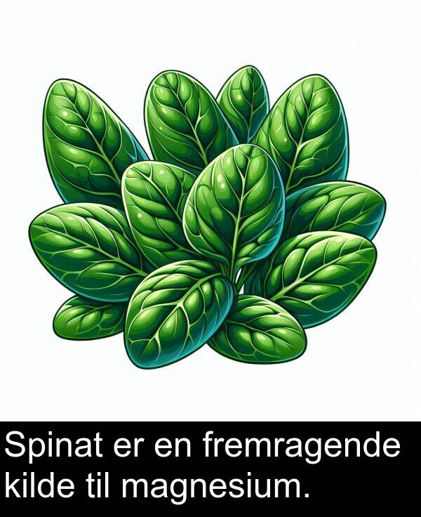 kilde: Spinat er en fremragende kilde til magnesium.