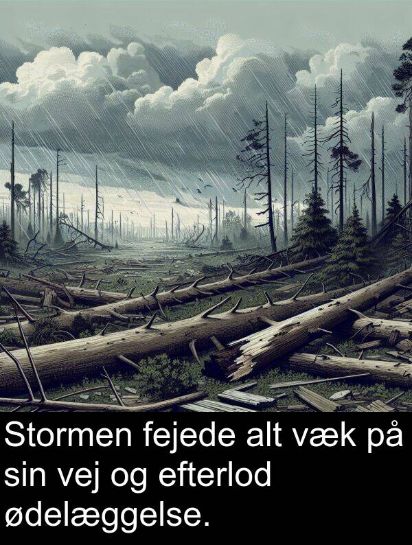 ødelæggelse: Stormen fejede alt væk på sin vej og efterlod ødelæggelse.