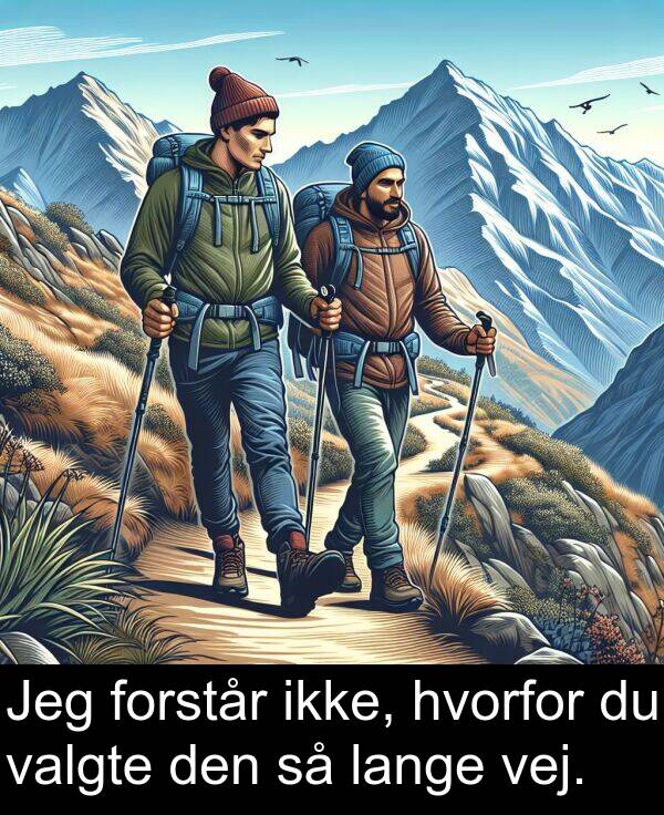 valgte: Jeg forstår ikke, hvorfor du valgte den så lange vej.