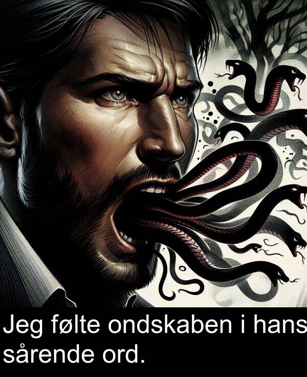 hans: Jeg følte ondskaben i hans sårende ord.
