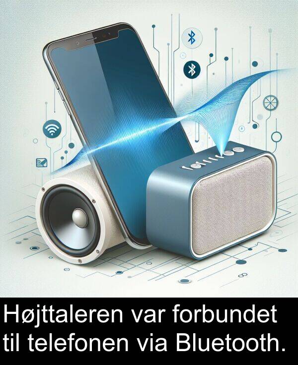 via: Højttaleren var forbundet til telefonen via Bluetooth.