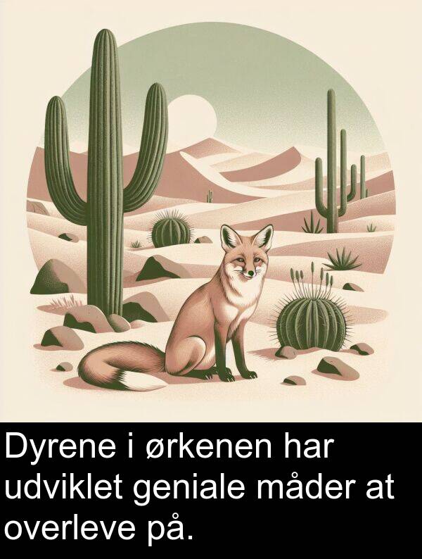 geniale: Dyrene i ørkenen har udviklet geniale måder at overleve på.