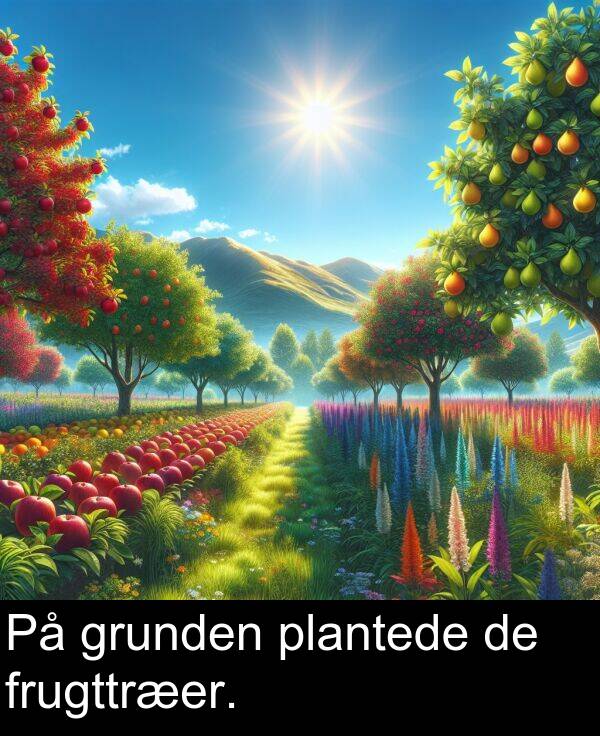 grunden: På grunden plantede de frugttræer.