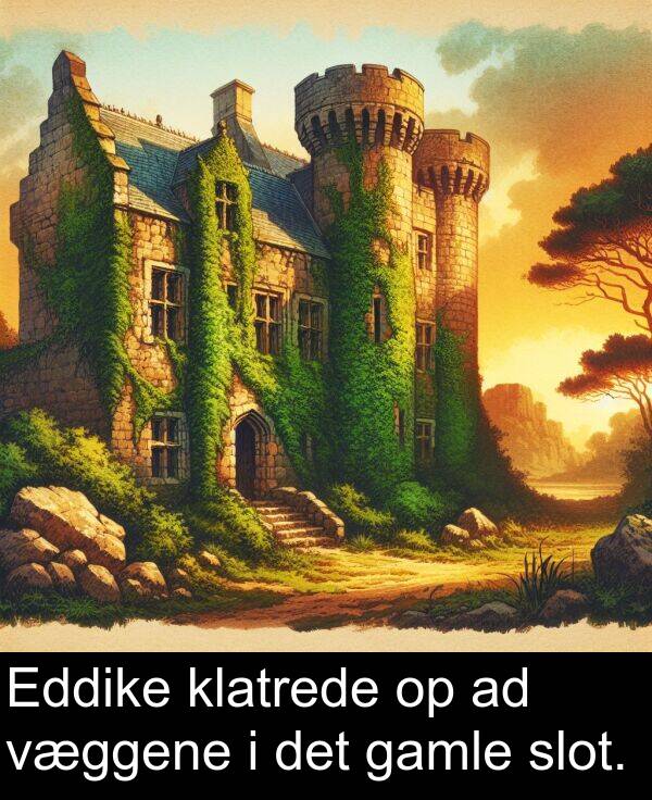 væggene: Eddike klatrede op ad væggene i det gamle slot.