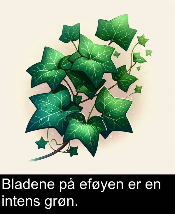 eføyen: Bladene på eføyen er en intens grøn.