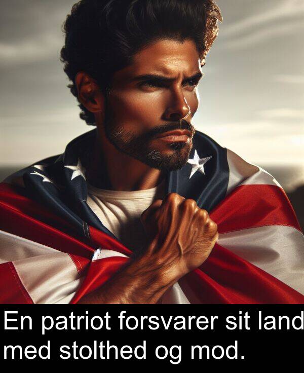 patriot: En patriot forsvarer sit land med stolthed og mod.