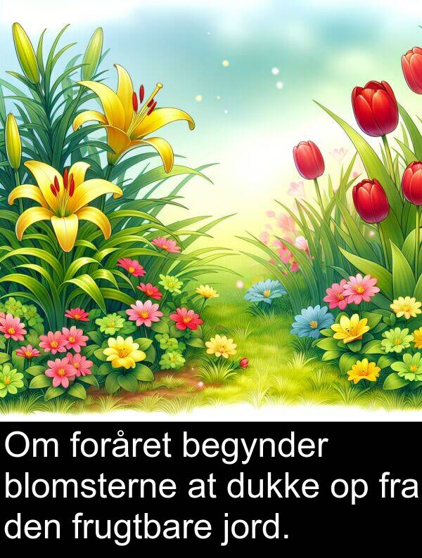 jord: Om foråret begynder blomsterne at dukke op fra den frugtbare jord.
